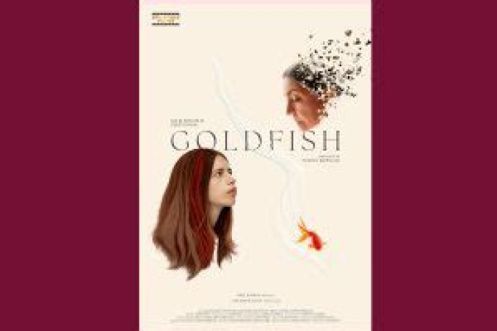 9xmovies Gift: Your Ultimate Guide to Movie Bonanzas and Digital Delights