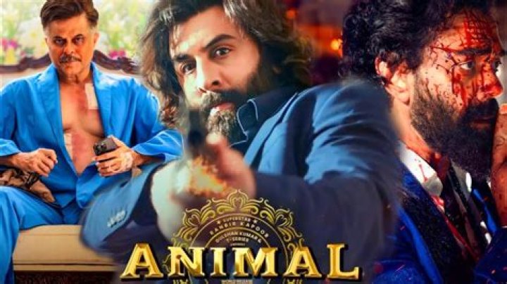 Unveiling the Animal Bollyflix Craze: Your Ultimate Guide to Bollywood's Wild Side