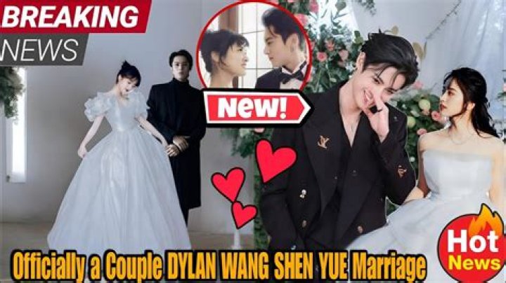 Exploring the Relationship Status of Dylan Wang and Shen Yue