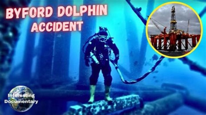 Unraveling the Mystery: The Bi 4 Dolphin Incident