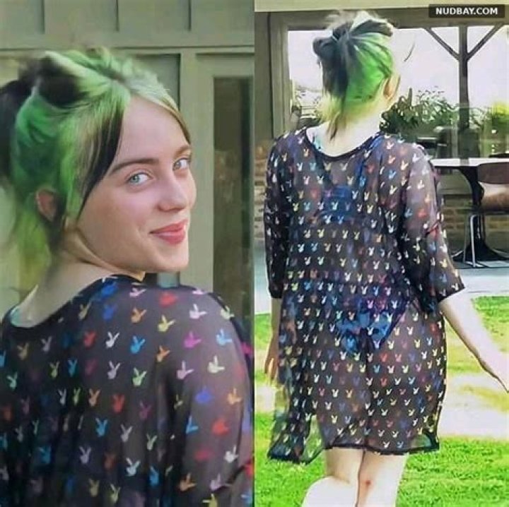 Billie Eilish: The Untold Story Behind the Fame and Her Iconic Image