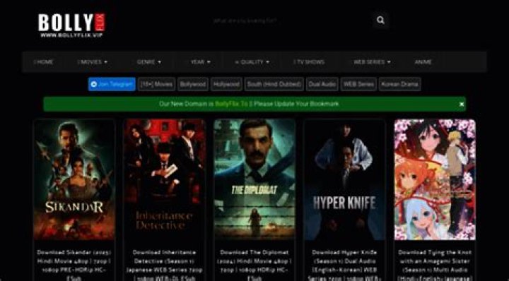 Bollyflix Co In: The Ultimate Guide to Your Favorite Movie Streaming Platform