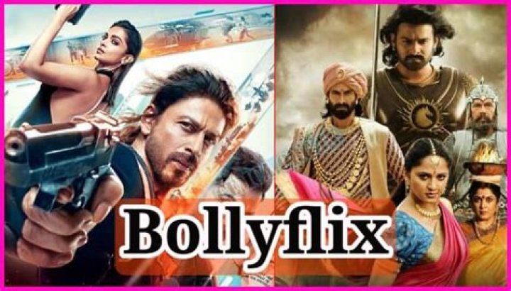 BollyFlix Data: The Ultimate Guide to Understanding and Leveraging Its Potential