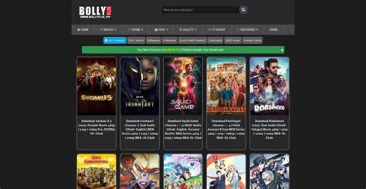 Bollyflix Domain: The Ultimate Guide to Understanding, Accessing, and Staying Safe