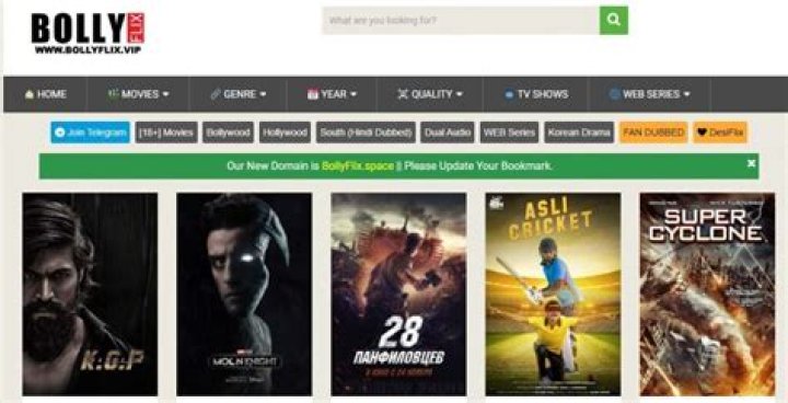Bollyflix Kannada: Your Ultimate Guide to Streaming South Indian Cinema