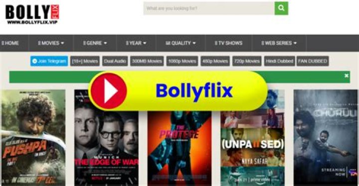 BollyFlix Life: Your Ultimate Guide to Streaming Bollywood Magic