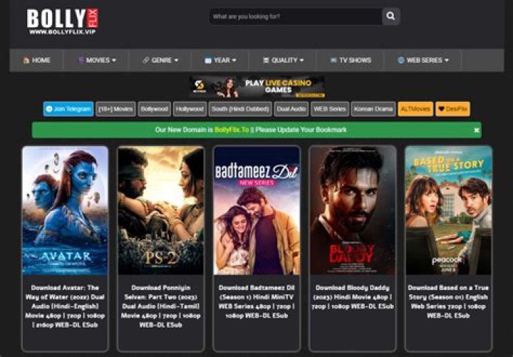 BollyFlix Netflix Download: Your Ultimate Guide to Streaming Bollywood Movies