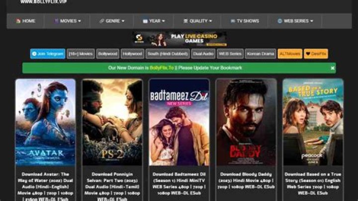Bollyflix New Domain: Your Ultimate Guide to Streaming Bollywood Movies