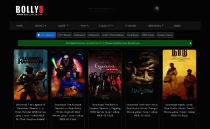BollyFlix Official Site: Your Ultimate Guide to 300MB Movies, BollyFlix, and 9xMovies