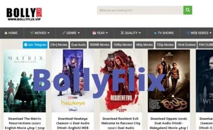 Bollyflix Raid: The Inside Story You Need to Know