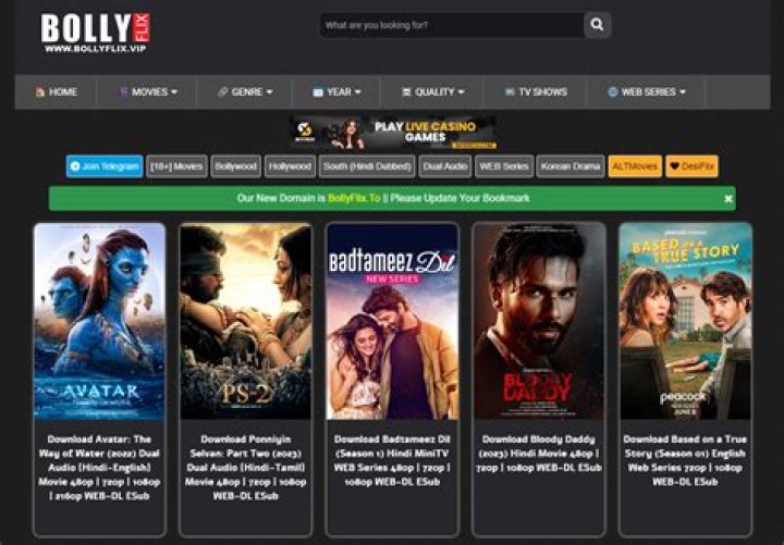 Bollyflix Yaariyan: The Ultimate Guide to Understanding and Exploring