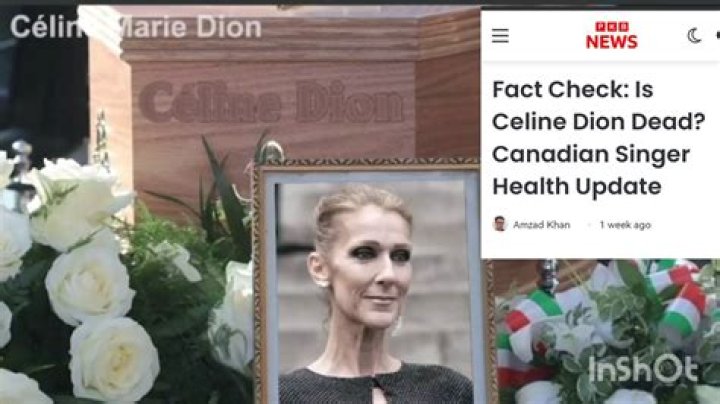 Celine Dion's Legacy: A Reflection on 