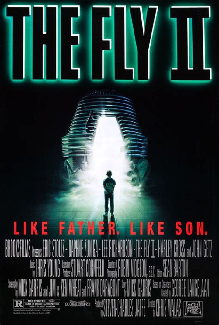 Fly Movie 2: The Buzzing Sequel You Can't Miss!
