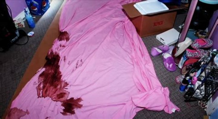 Unraveling the Mystery: The Intriguing Case of Gypsy Rose and Crime Scene Photos