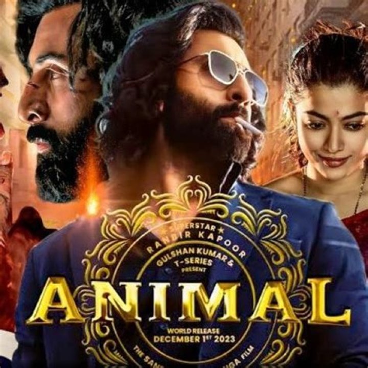 HDHub4u TV Animal: Your Ultimate Guide to High-Quality Nature Entertainment