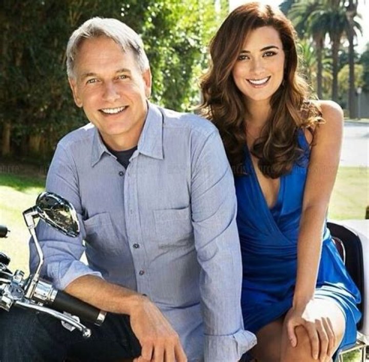 Unveiling the Family Life of Mark Harmon: How Many Children Does He Have?