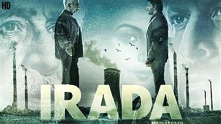 The Enigmatic Journey of Iradha: A Deep Dive into Her Life and Achievements