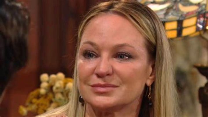 Is Sharon Case Leaving Young and the Restless? The Unfolding Drama