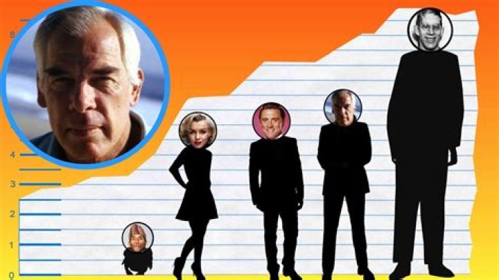 Unveiling the Legacy: Lee Marvin Height and More