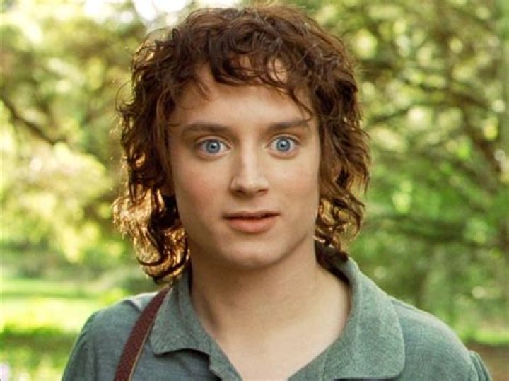 Unveiling the Journey of the LOTR Frodo Actor