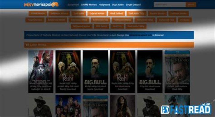 MKVMoviesPoint Camp Category Dual Audio: Your Ultimate Guide to Movie Bliss