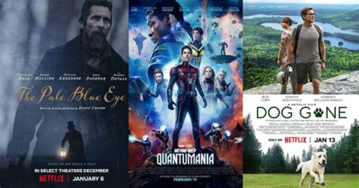 Mkvmoviespoint in 2023 Hollywood: Your Ultimate Guide to Streaming Movies