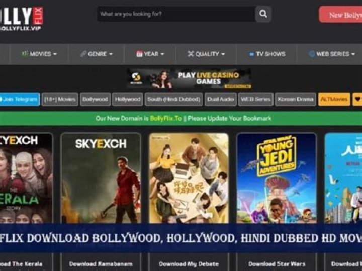 MKVMoviesPoint Web Series Download Hindi Dubbed Filmyzilla: Your Ultimate Guide