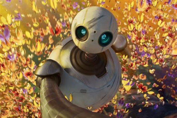 Movie Rolz: Your Ultimate Guide to the World of Movie Rolls and Beyond