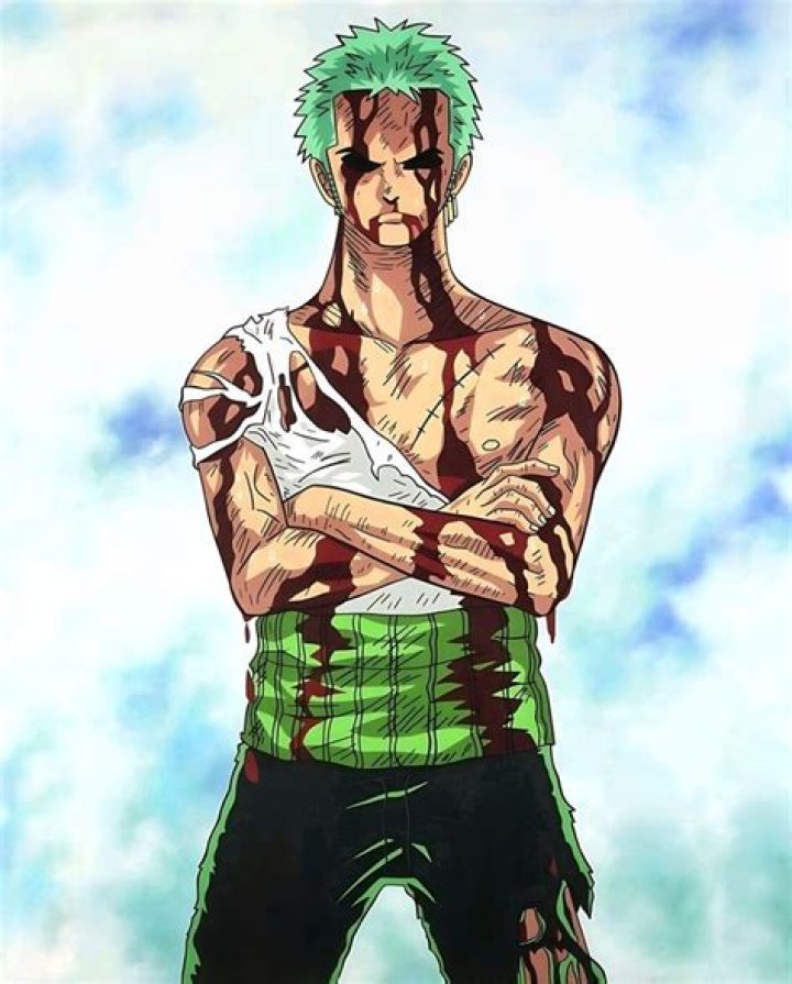 **The Enigma of Nothing Happened Zoro**