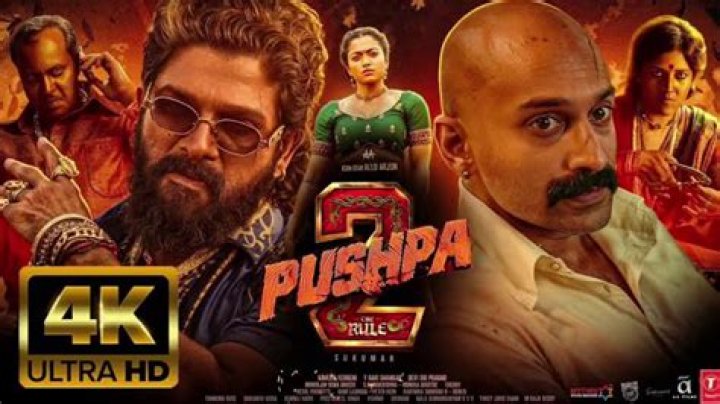 Pushpa 2 Movie Download Filmyzilla: A Deep Dive Into the Hype and Controversy
