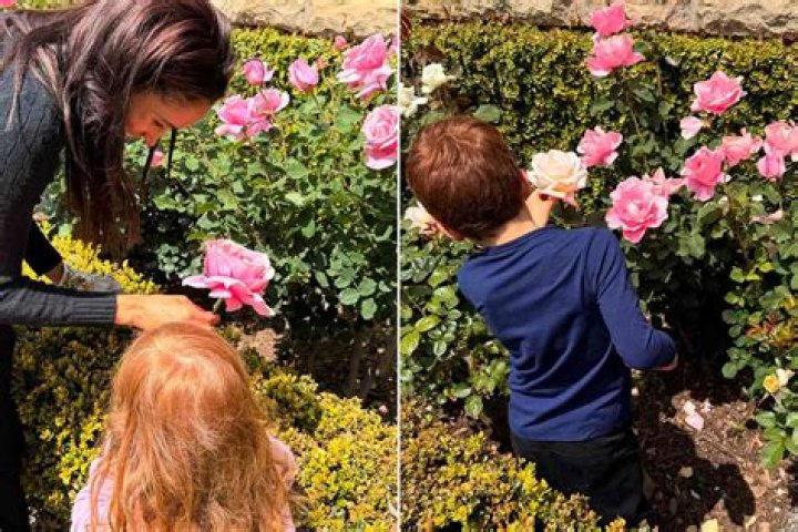Delightful Moments: Recent Photos of Lilibet and Archie