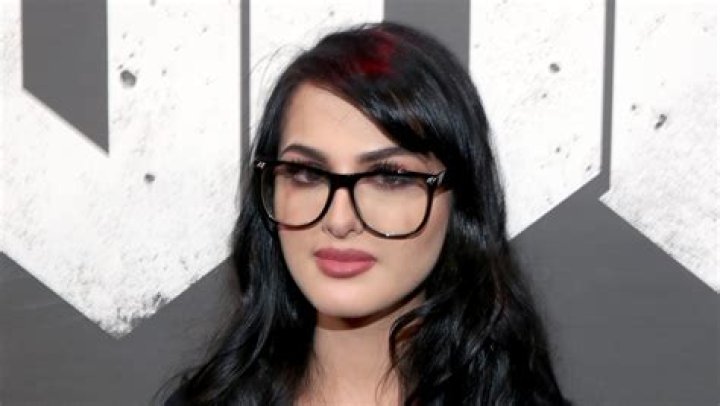Exploring the Phenomenon of SSSniperWolf Fapello