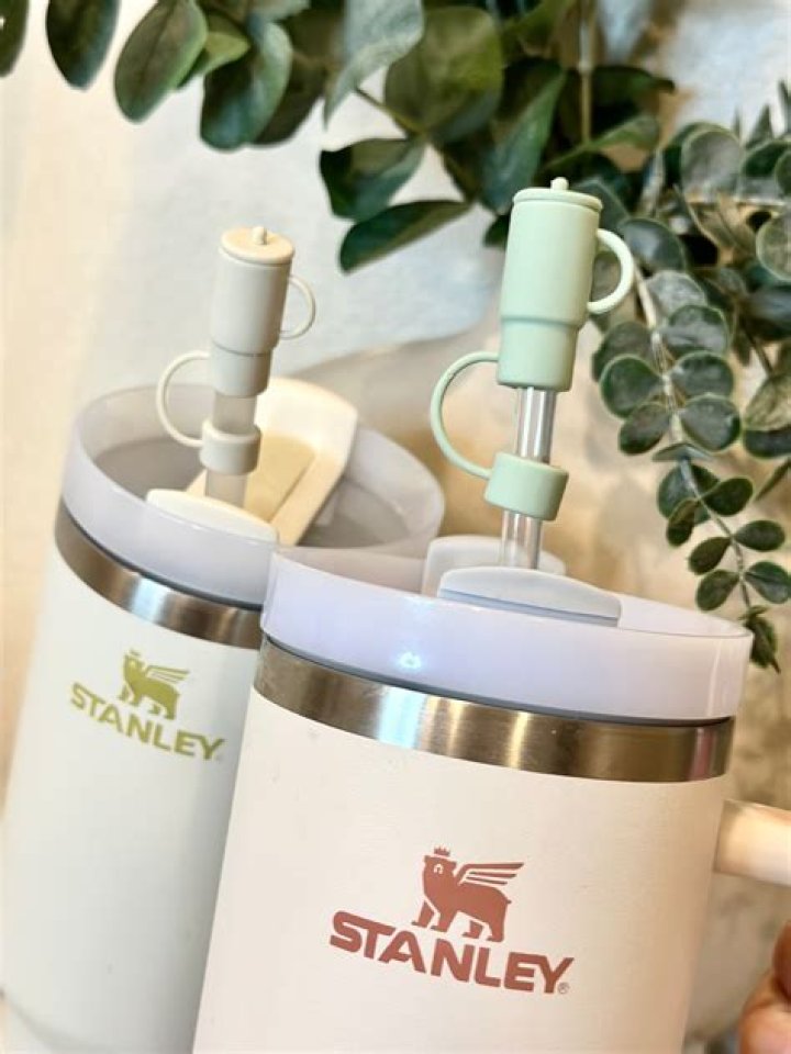 The Ultimate Guide to Stanley Cup Covers: Protecting the Glory