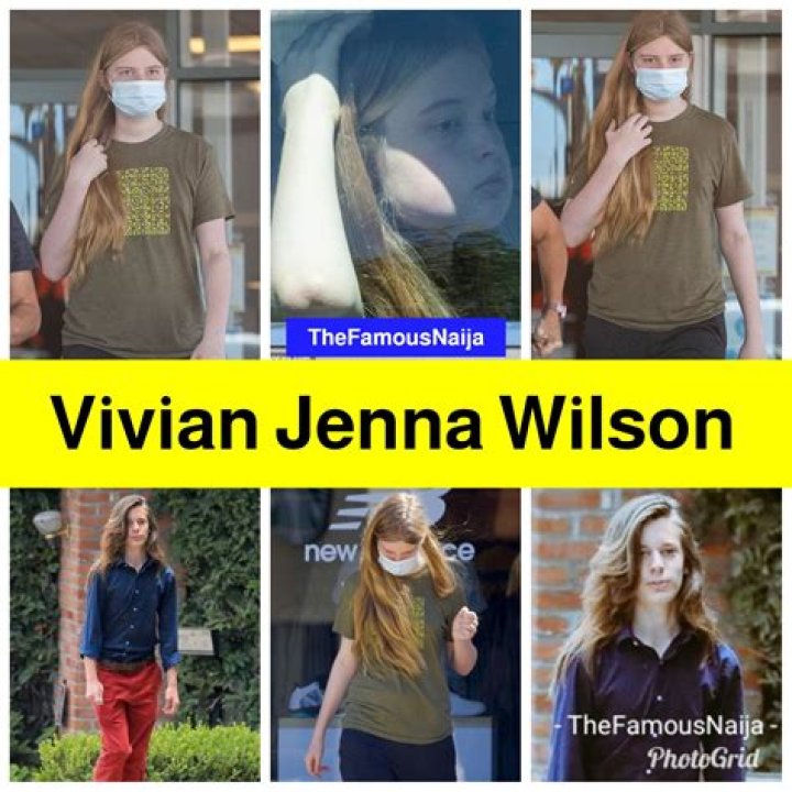 Unveiling the Wealth of Vivian Jenna Wilson: What is Her Net Worth?